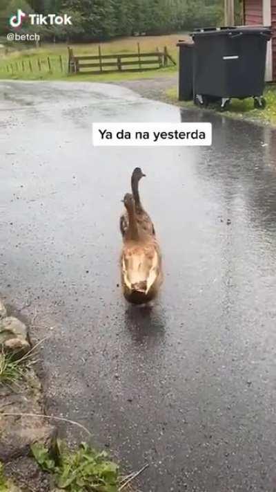 What should we fackn da