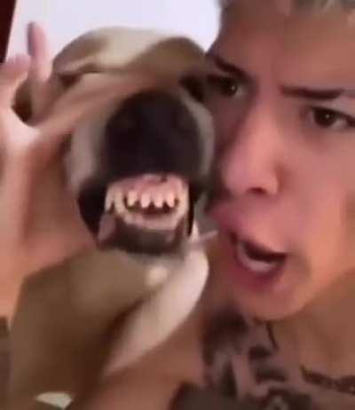 The dawg and the dog