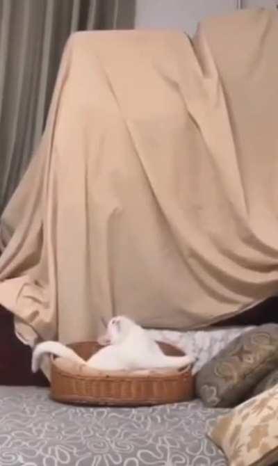 When you fall asleep on the couch and wake up in your bed, this is what happens.