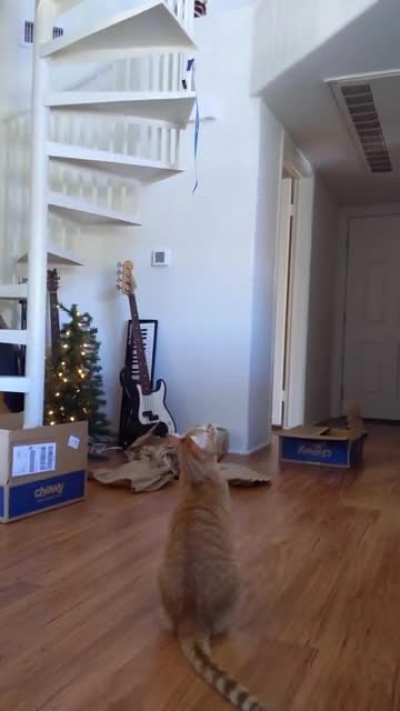 Twenty seconds of Turbo catculating before the perfect catch