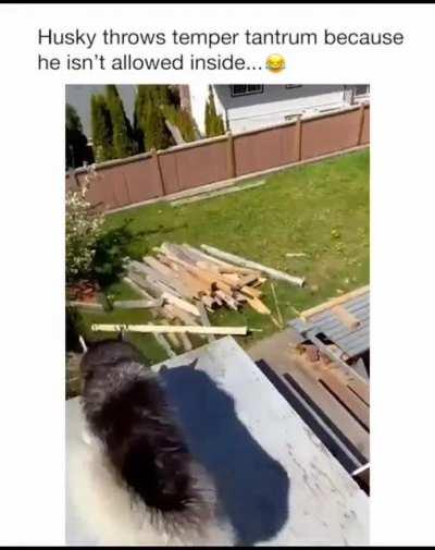 *Demonic husky noises*