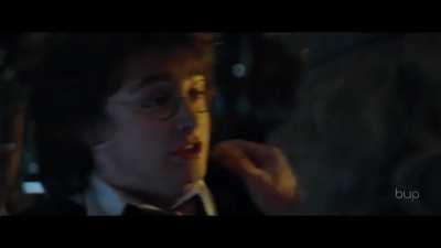 Dumbledore Asked Calmly(69)