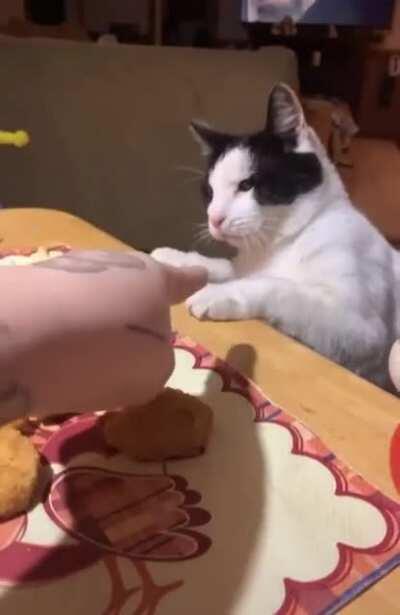 They act like they never eat..