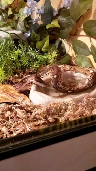 Caught this girl blowing bubbles 😁