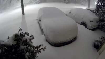 Time-lapse of last nights snowfall from my driveway. It starts to explode at the 18 second mark.