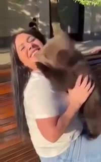 Winnie the Pooh's evil brother