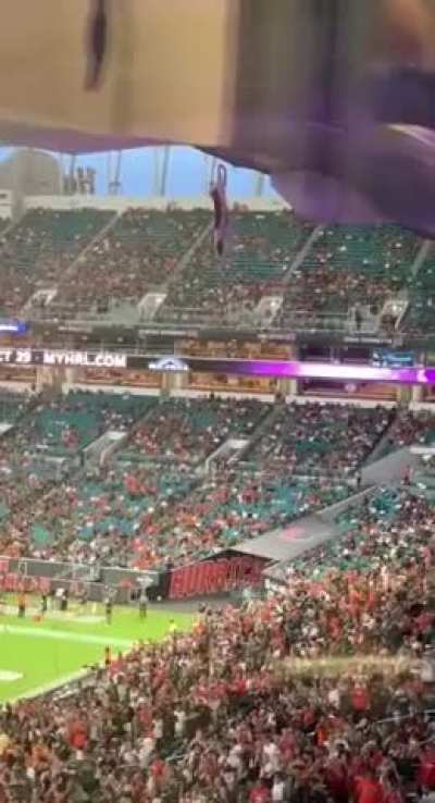 Cat falls from upper deck of stadium. This is how they catch it.