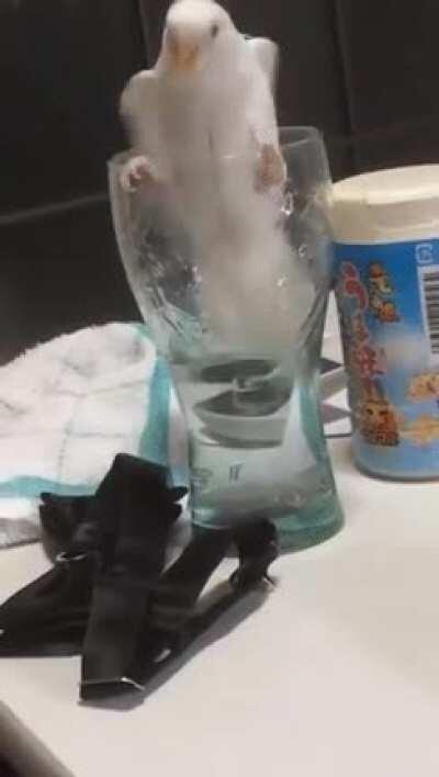 I’m just going take a quick sip