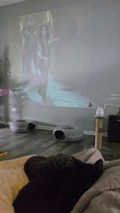 Hue, what day is it?