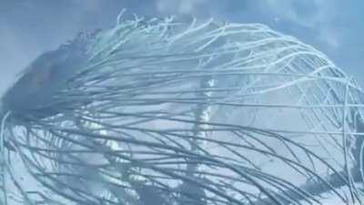 Best ost after dmc3 theme