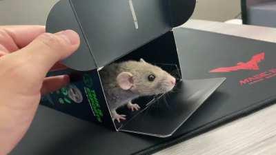 The listing said gaming mouse?