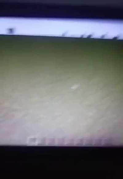 PedroDBR - Video #7372