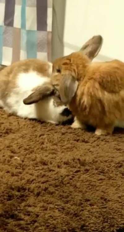 He always gives me a look at some point when he sees me recording