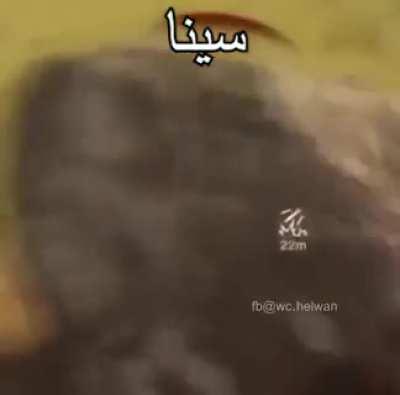 Found this on Facebook