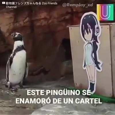 Dazbrrr - Video #8188