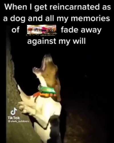 what pain looks like