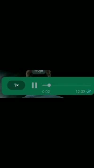 isso tudo pq ele ta sem zap