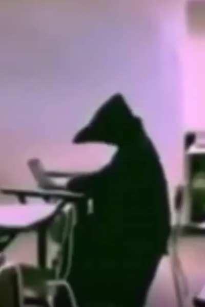 He smells your fear.