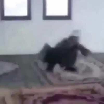 O his ki Kuran kursunda ki battleroyali kazanmışsındır.