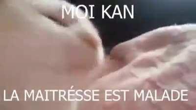 elle a la diaré 🤣🤣