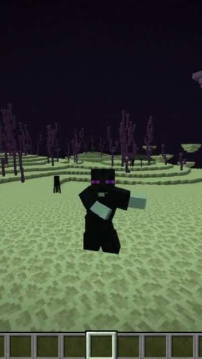 How to ruin an enderman's day