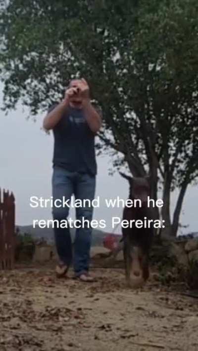 You can hear the bullets bouncing off him lol