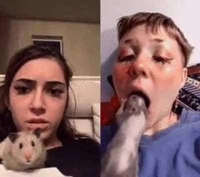 Even the hamster was shocked at what he saw