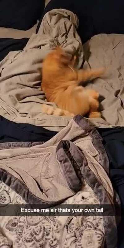 A morning bathing routine turns violent