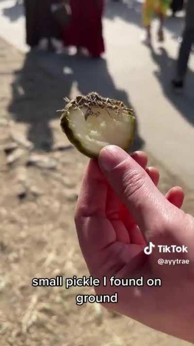 Everything I ate at the Renaissance Fair today