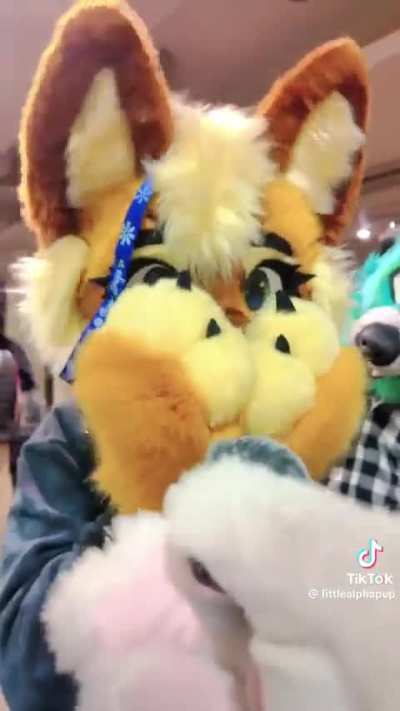 LoserCity good question