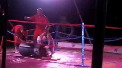 This kangaroo know how to take out the trash...