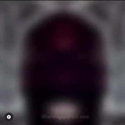 The one and only: @presidentofugly1, void source: @unexpected.exe