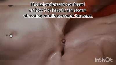 Life on Keplar 22-b 👽 (Part 4)