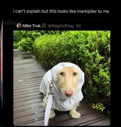 Losercity marketpire