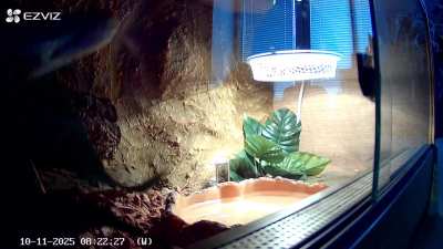 Citrus finally got out of his hide after a week