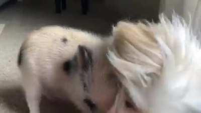 they love each other so much