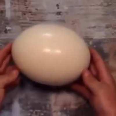 Ostrich Egg
