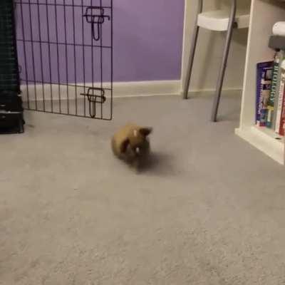 That little hop-turn in the middle is called a 