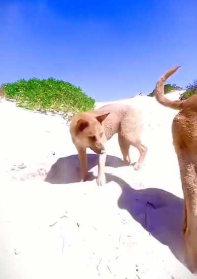 When a team lacks communication..