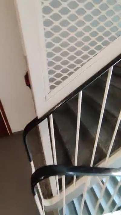 This door at my parents building that leads straight to their storage space.