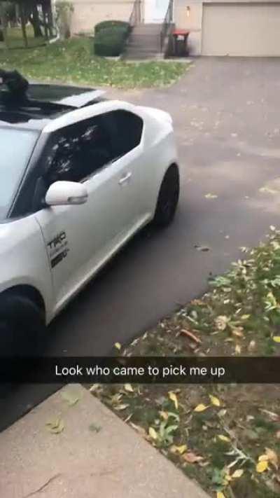 Gotta have a sunroof