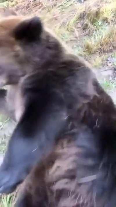 Not sweaty, but still very wet