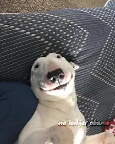 Walter hace todo mejor