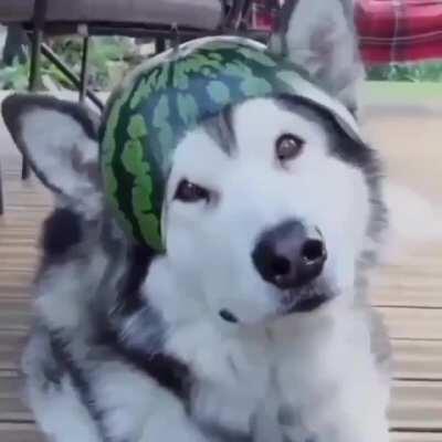 Watermelon Hat