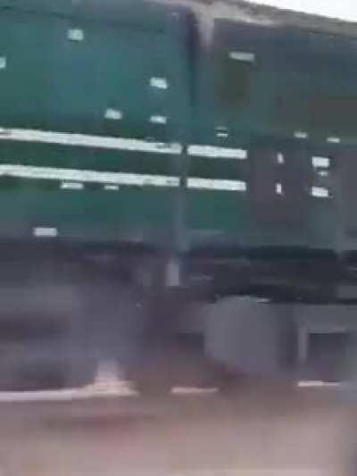 They tried to warn the donkey...