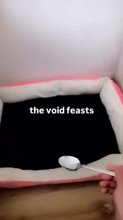 Void Wunk 