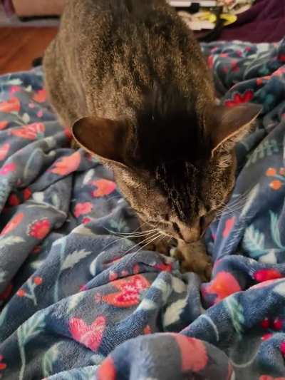 My girl Barb Makin' Biscuits