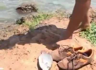 how the fu- has this not been posted yet