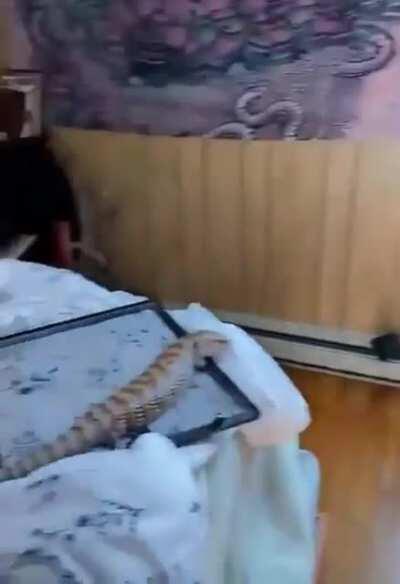 A trade has been made