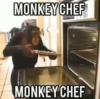Macaco CHEF